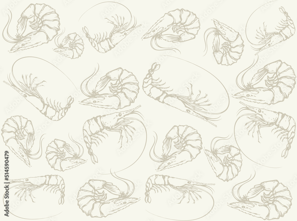 Fototapeta premium Big shrimp. Vector sketch drawing