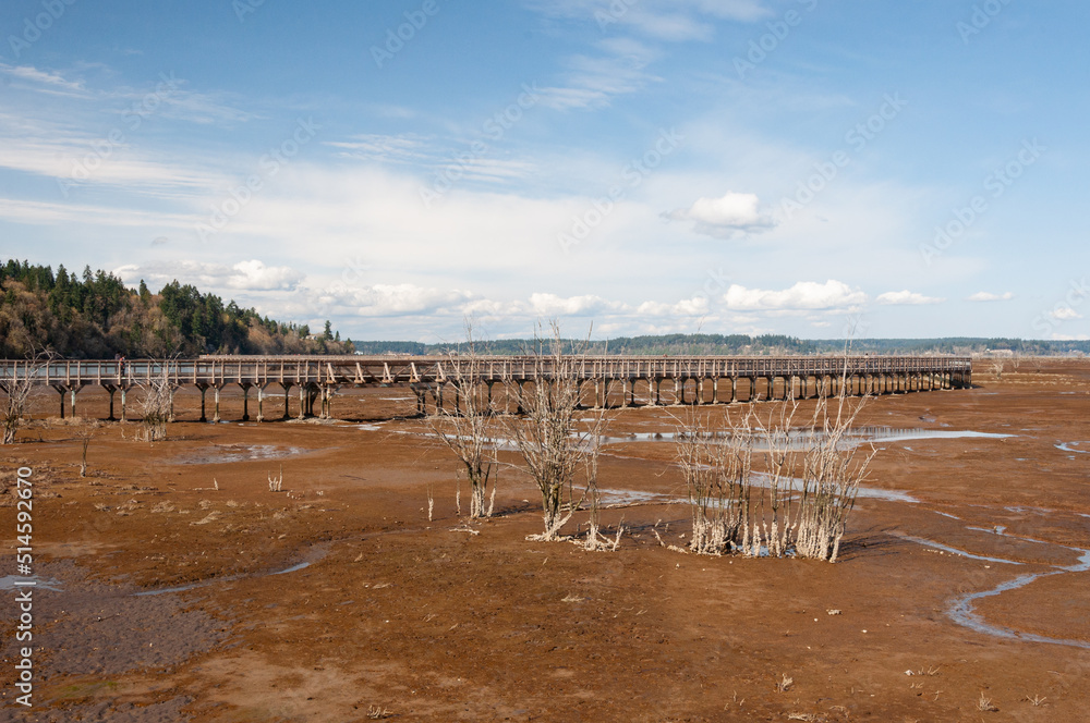 Boardwalk over mud of Nisqually river estuary in the Billy Frank Jr. Nisqually National Wildlife Refuge, WA, USA