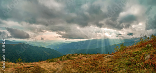 Panorama of picturesque autumn Carpathian mountains with dramatic sky. The blueberry bushes are red from the autumn frosts, but the trees are still green. 