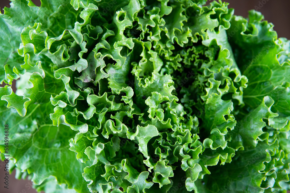 green lettuce salad on a wooden board green lettuce salad on a wooden board