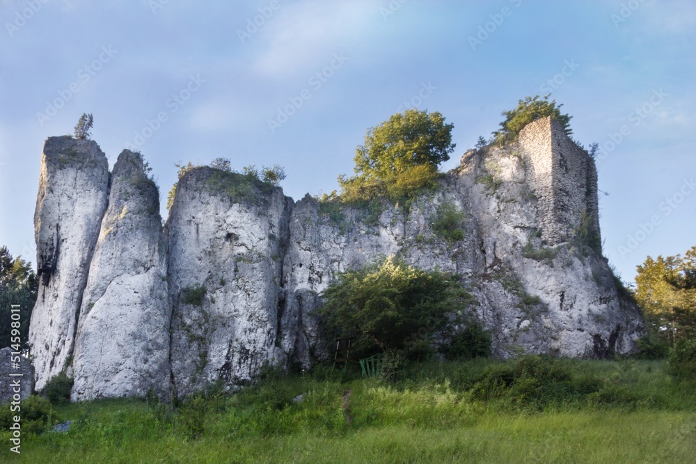 Ruins of old castle Przewodziszowice at limestone rocks Ruins of old castle Przewodziszowice at limestone rocks