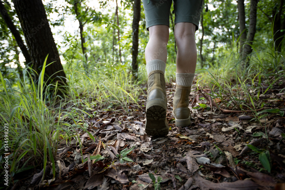 Woman hiker hiking on forest trail Woman hiker hiking on forest trail