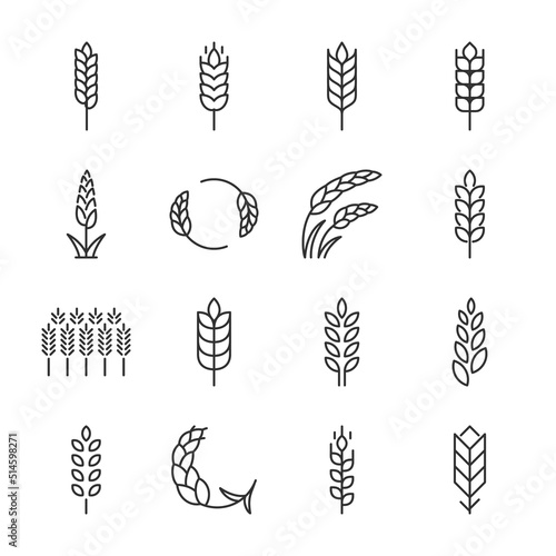 Wheat icons set. Wheat ear of various shapes, linear icon collection. Line with editable stroke