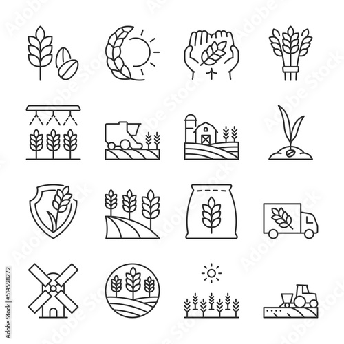 Growing wheat icons set. Cultivation of cereal plants. Agricultural fields. Agriculture. Agrarian business, linear icon collection. Line with editable stroke