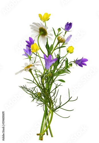 Wild meadow flowers in a summer bouquet isolated on white