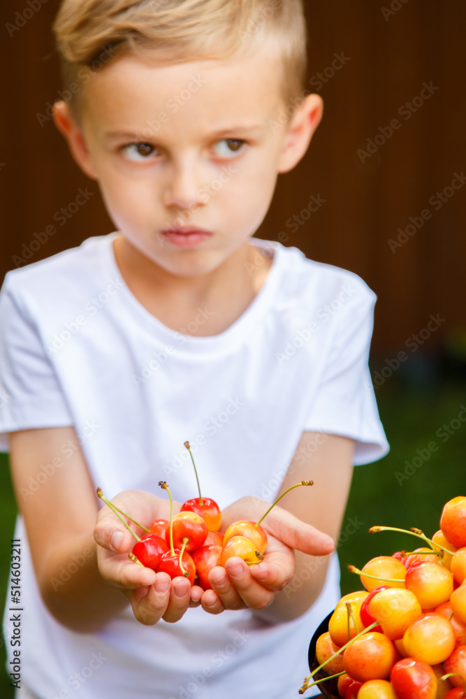 A six-year-old boy stands on a green lawn and plays with cherries. Sunny day, green lawn. The blond boy indulges in cherries. The kid treats cherries. A six-year-old boy stands on a green lawn and plays with cherries. Sunny day, green lawn. The blond boy indulges in cherries. The kid treats cherries.