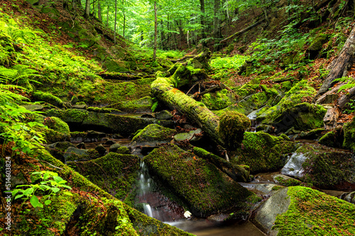 Forest stream in the mountains. Bieszczady National Park  Carpathians  Poland.
