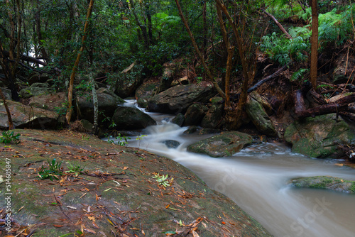 Water flowing into the creek in the forest.