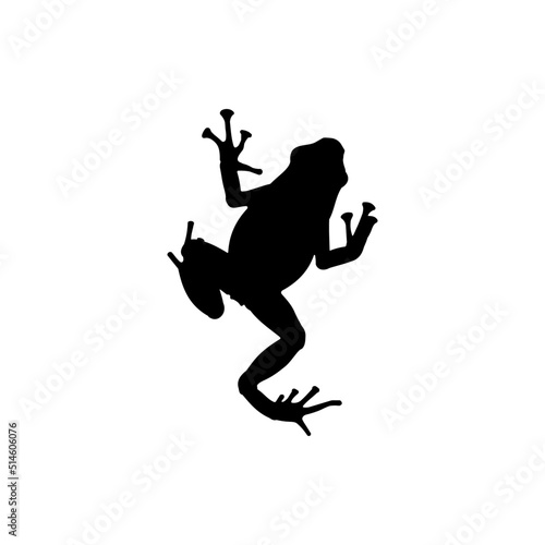 Poison Dart Frog Silhouette Vector. Best Poison Dart Frog Icon Illustration