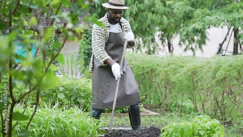 Farmer holding hoe dig soil agriculture green vegatable plantation on at landyard front of wooden house 
 photo