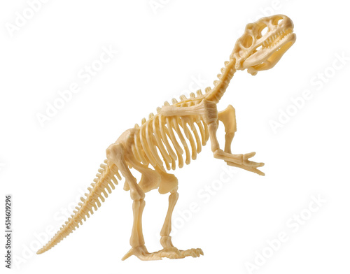 Dinosaur figurine. Skeleton of tyrannosaurus.