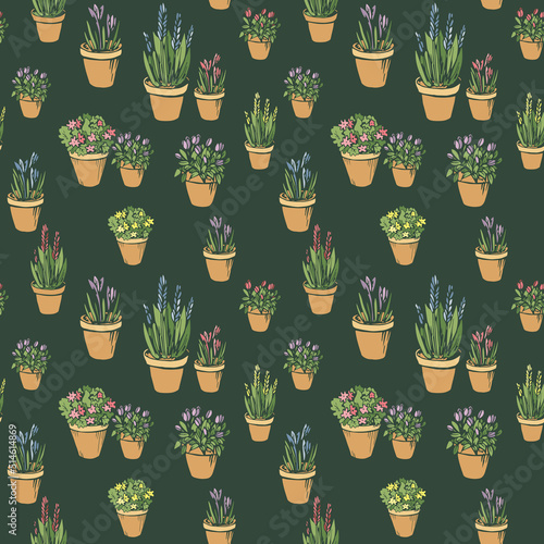 Colorful bright seamless pattern with colored flowerpots, flowers, pots, potted plants. Endless texture with hand drawn silhouette on dark green background for wallpaper decor.