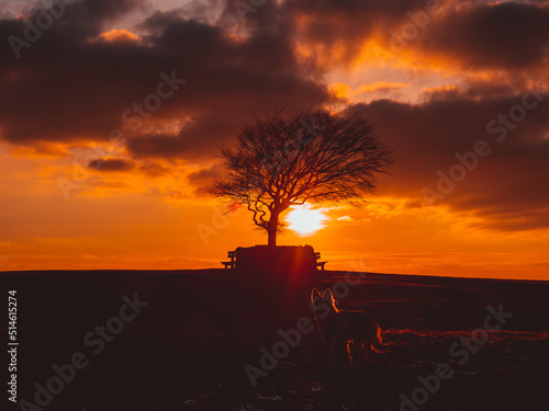 sunset at Cleeve Hill, UK photo