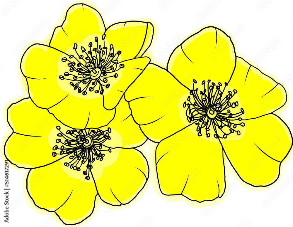 Fototapeta premium Abstract yellow rose flower are blooming with empty background.