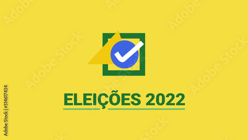 Brazil Elections 2022 - Brazil Flag check