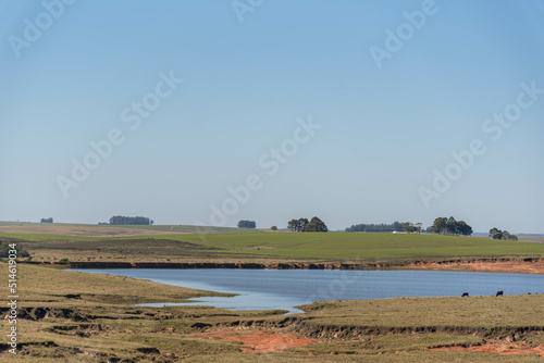 Rural landscape in pampa biome in south america