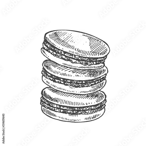Hand drawn vector french macaroon vintage illustration
