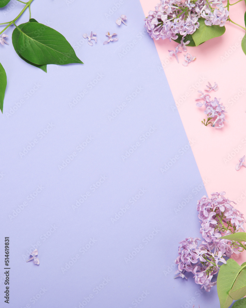 White and pink background with lilac flowers.