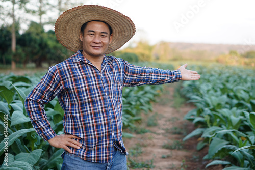  Portrait of Asian man farmer is at garden, wears hat, plaid shirt, hand on hip, makes gesture to present his garden. Concept : farmer is proud in crop products. Agriculture occupation.    