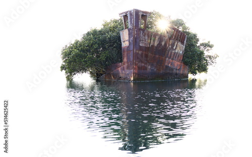 Mangrove covered shipwreck in Homebush Bay, Sydney photo