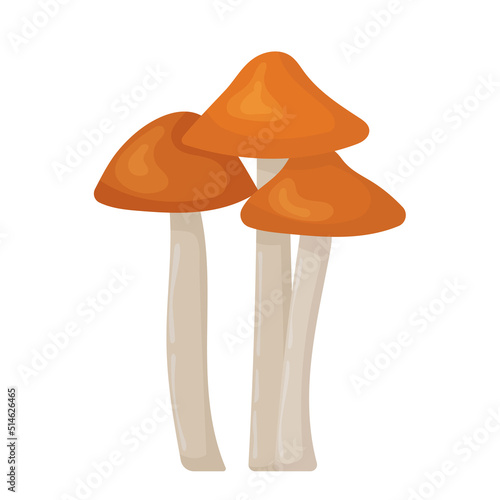 mushrooms in flat design, on a white background, isolated