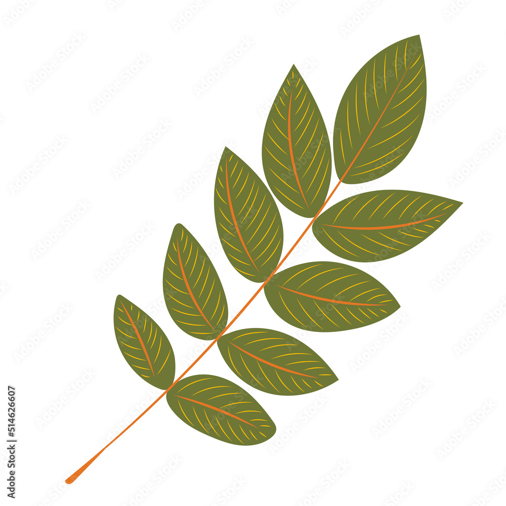 green leaf in flat design set isolated