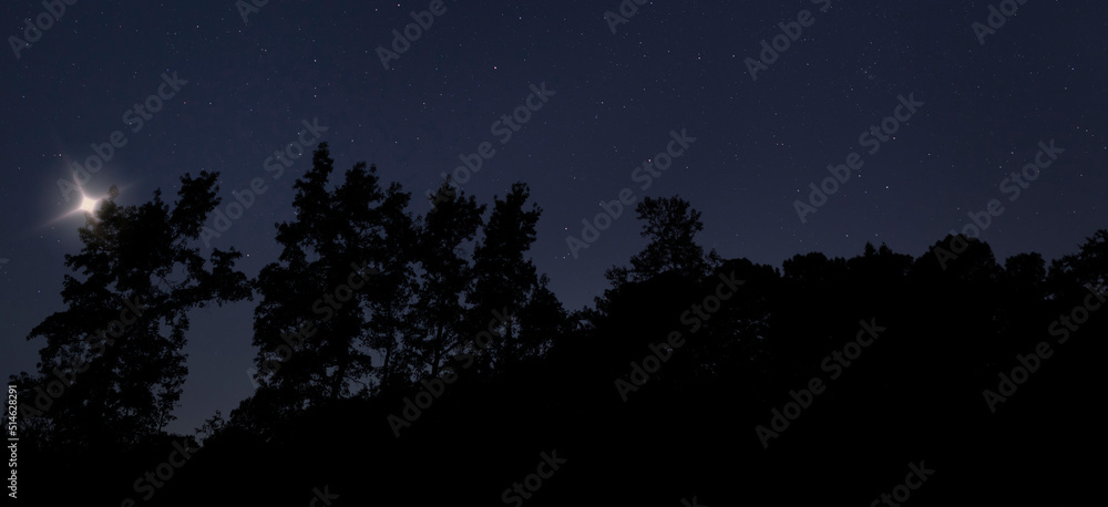 UFO coming in low over the trees UFO coming in low over the trees