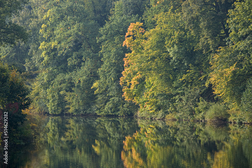 Herbstwald und Fluss