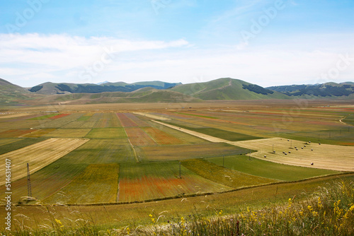  Fioritura Castelluccio di Norcia