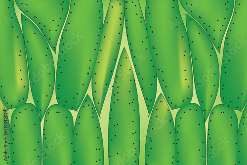 Sclerenchyma plant tissue cells