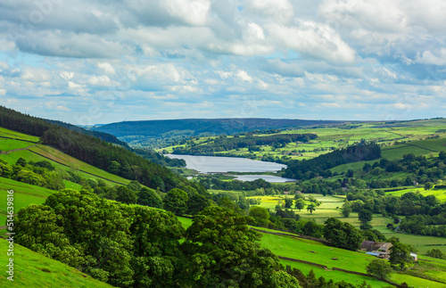 Gouthwaite Reservoir in Nidderdale, an area of outstanding natural beauty in Summertime with lush green fields, forests and livestock.  Yorkshire Dales, UK.  Copy space. photo