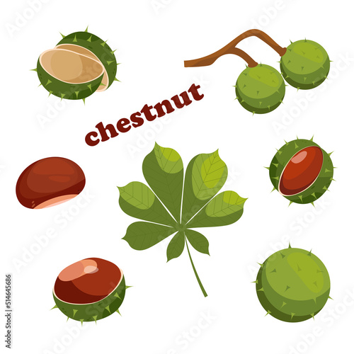 Chestnut icons. Set of cartoon chestnuts, leaves and peels, vector illustration. Elements for label. Design elements for fabric, poster, packaging, banner and wrapping paper.