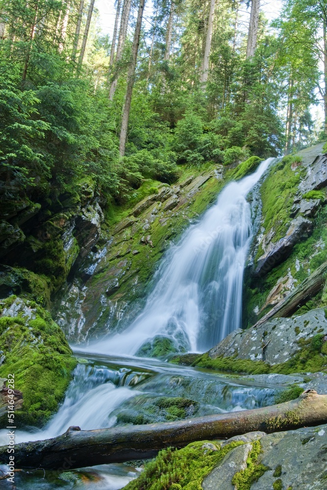 Obraz premium waterfall in the forest