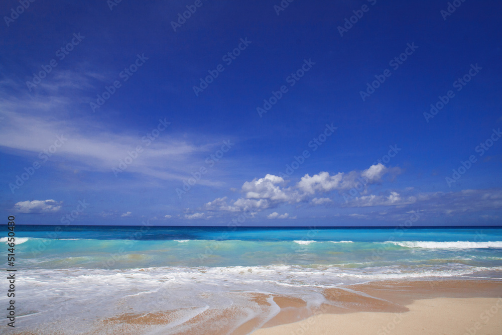 beach with sky