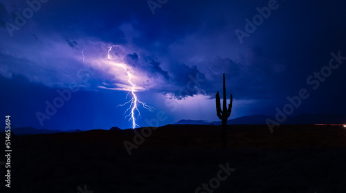 Bild auf Leinwand Lightning in the Tonto National Forest