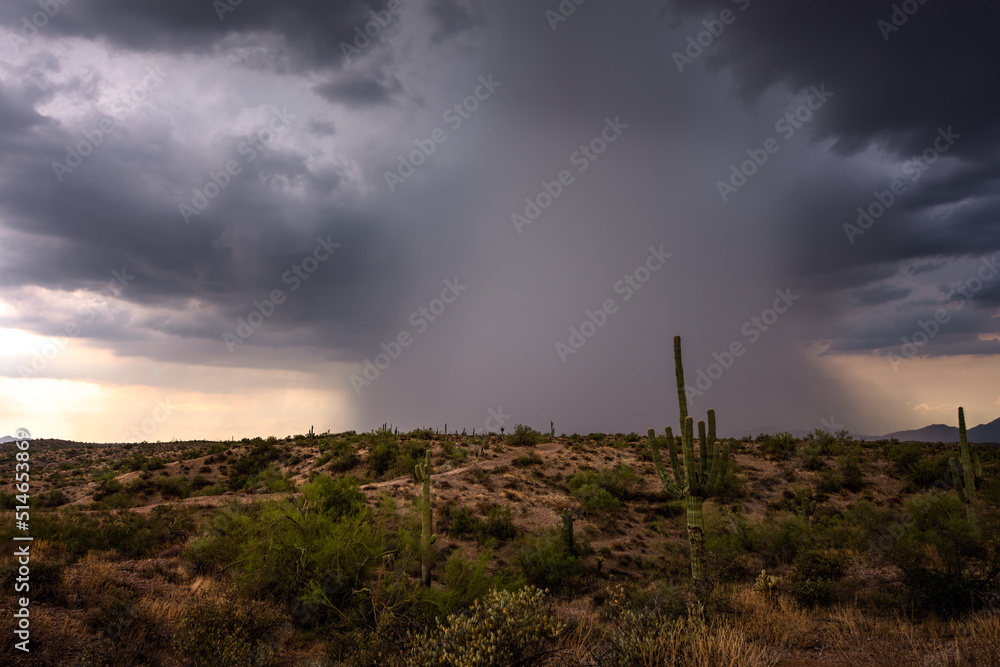 Storm over the desert