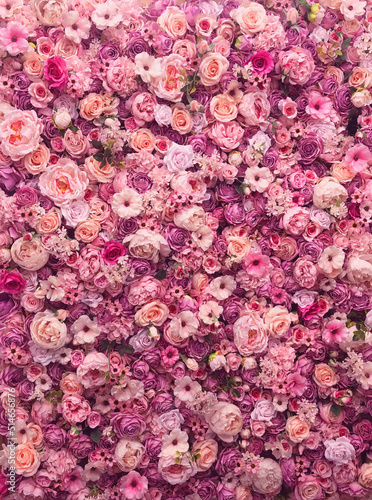 100万本のピンクのバラ © MANPUKU