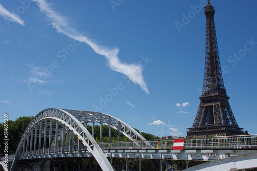 Bridge and eiffel tower Beauty f Paris, détails © Natolie 