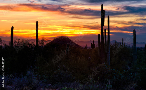 Sunset over Arizona desert