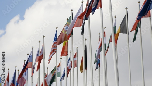 Various national flags with the EU flag under a blue sky.