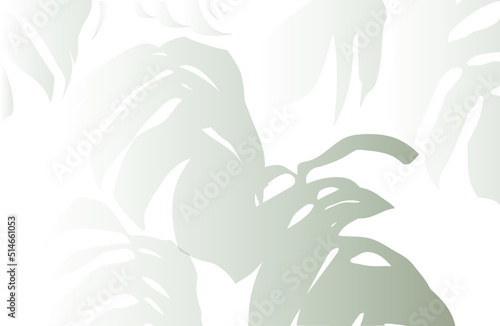 shadows, overlay effects mock up, leaf of plants, natural interior light, vector illustration