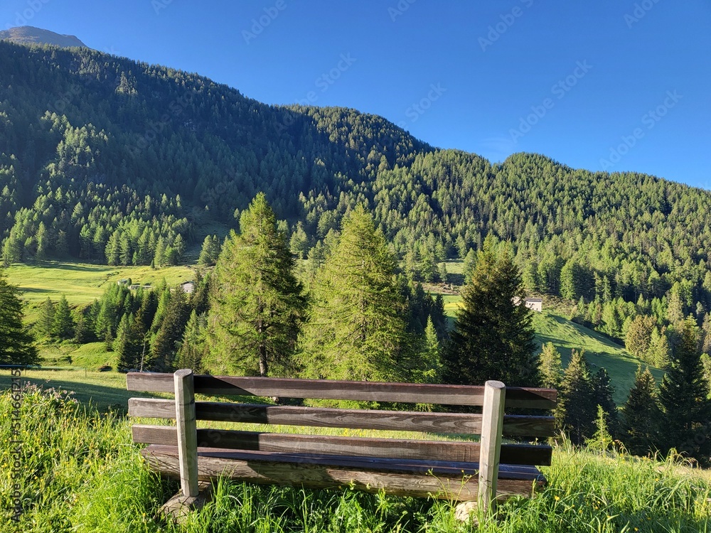 Beautiful summer landscape in Val di Campo,, Poschiavo in Canton Graubunden, Switzerland.
