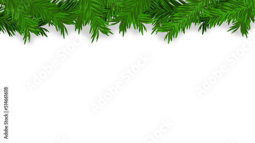 blank white background with green pine branches for festive holiday backdrop and website banner or graphic design decoration