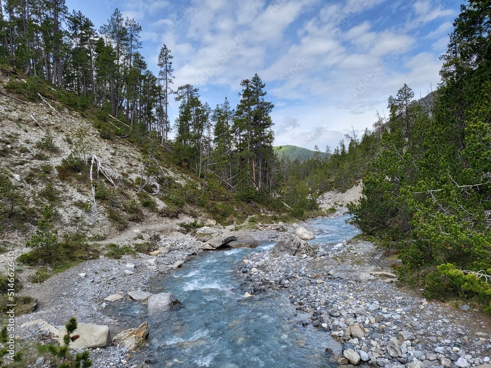 Beautiful summer landscape with refreshing river stream in Fuorn valley trail in Swiss National Park, Zernez, Canton Graubunden, Switzerland.