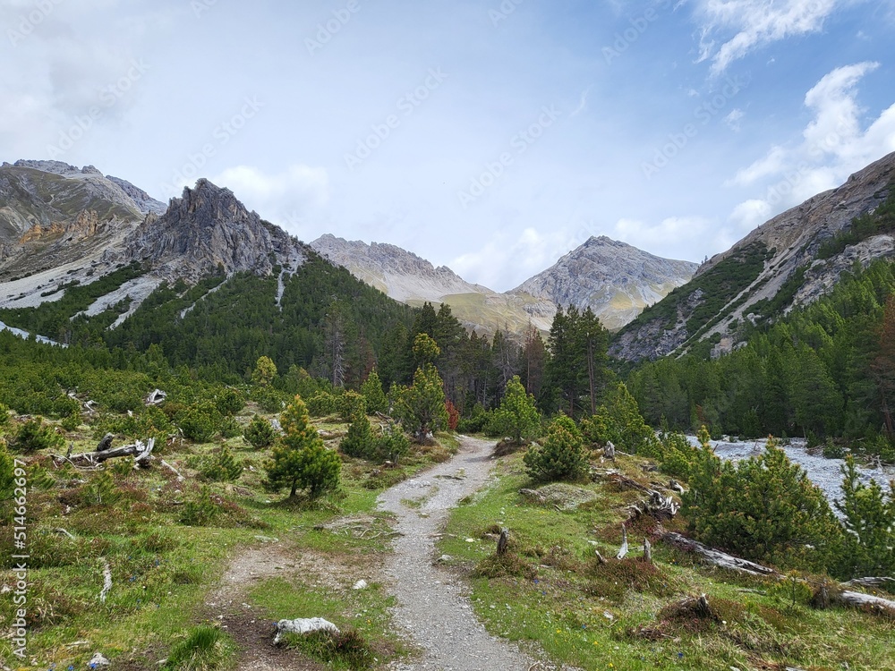 Beautiful summer landscape in Margunet hiking trail in Swiss National Park, Zernez, Canton Graubunden, Switzerland.