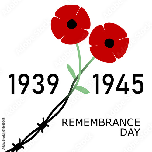 Day of Remembrance and Reconciliation. Red poppy flower commemorative symbol. World War II. Minimalism style. World War second 1939 -1945 card. Remember. Barbed wire and red flowers photo