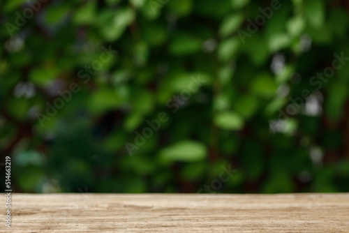 Close-Up of plant growing on wood In garden. Empty wooden table .