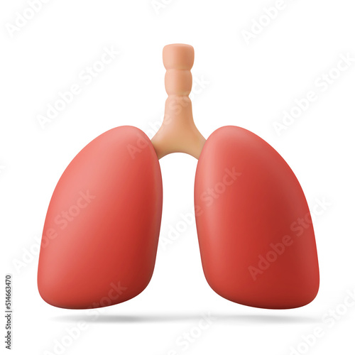 medical anatomy human lung organ for breath and respiratory function 3d illustration scientific concept 3d icon isolated in white background