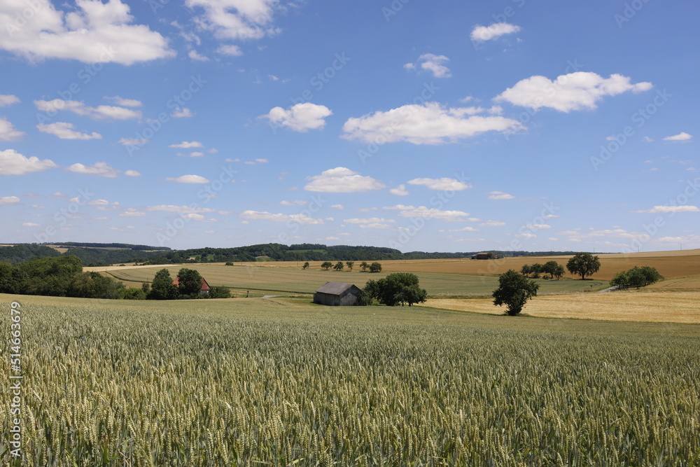 A Hut in the Fields, Landscape in Hohenlohe, Baden-Württemberg, Germany, Europe. A Hut in the Fields, Landscape in Hohenlohe, Baden-Württemberg, Germany, Europe.
