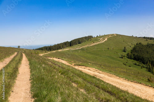 Forest roads among green mountains